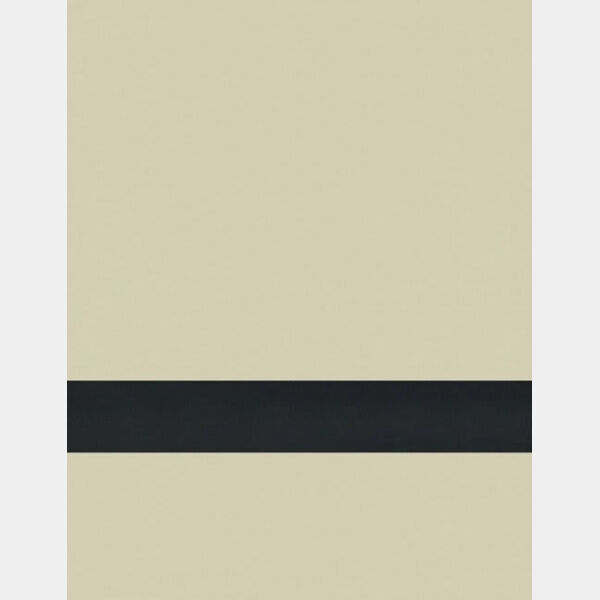 24" x 49" x 1/16" Khaki/ Matte Duets Laser XT Plastic Thumbnail