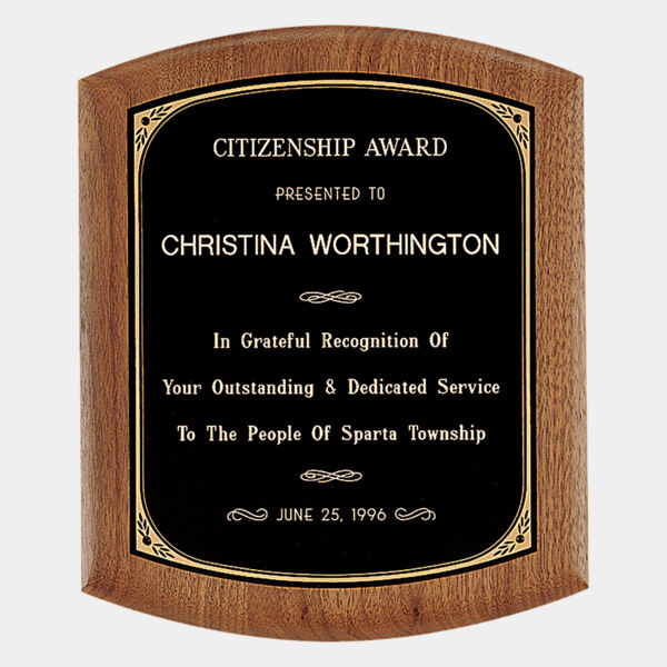 7 1/2" x 8 1/2" Coventry Series American Plaque with Border Laserable Brass Plate Thumbnail