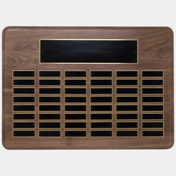 15" x 21"/Plates 7/8" x 2 3/4" American 48 Plate Perpetual Plaque with Brass Plated Steel Plates Thumbnail