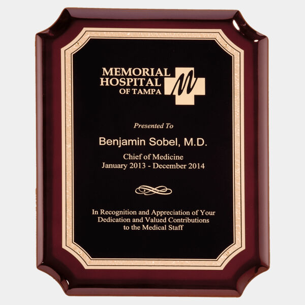 11" x 15" High Gloss Plaque with Florentine Border LaserFX Plate Thumbnail