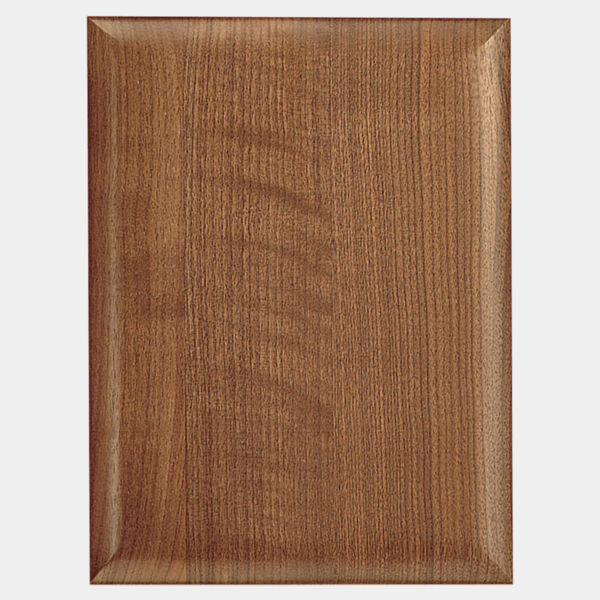 12" X 15" Airflyte Plaque Thumbnail